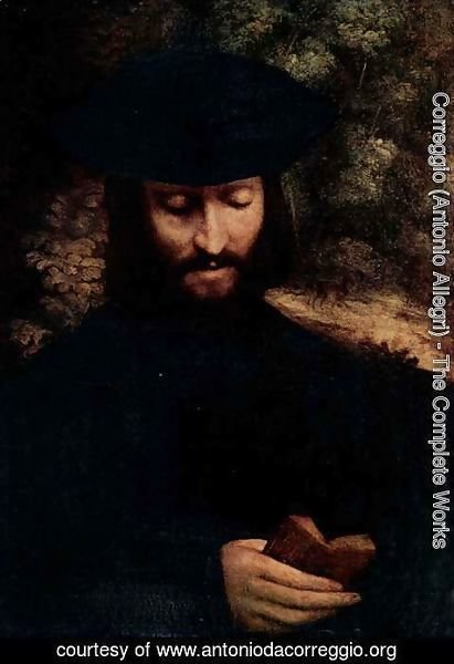 Correggio (Antonio Allegri) - Portrait of a man