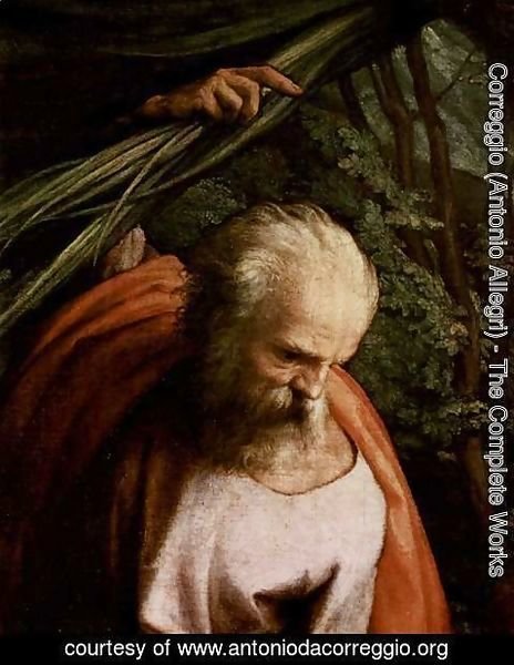 Correggio (Antonio Allegri) - Rest on the Flight to Egypt, with St. Francis, detail, St. Joseph