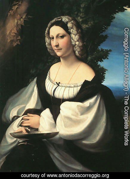 Portrait of a Gentlewoman 1517